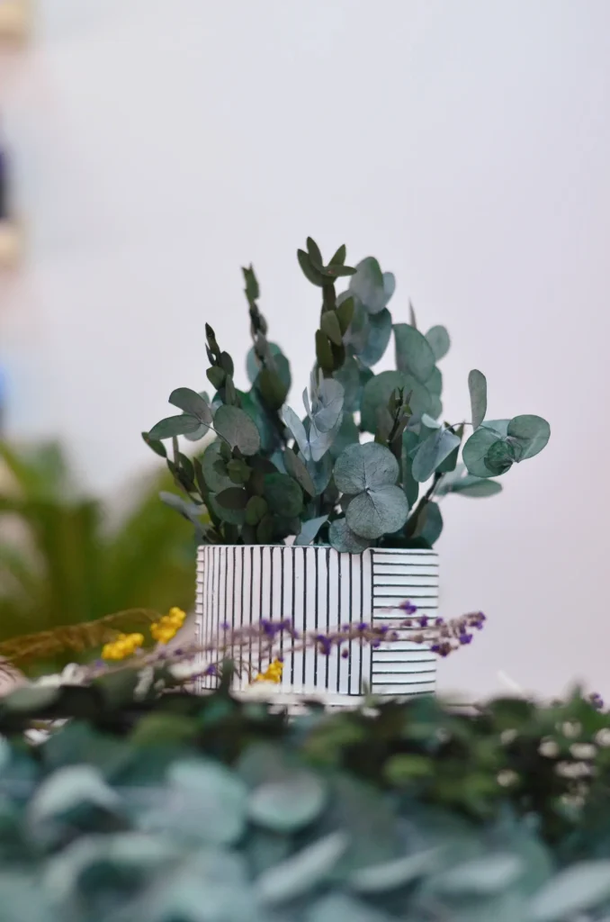 workshop de maceta de flores preservadas